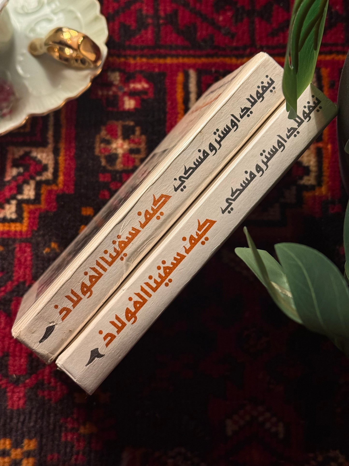 مجلدين كيف سقينا الفولاذ